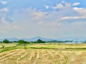 ประกาศ ซื้อ-ขาย-เช่า อสังหาริมทรัพย์ ทั่วไทย