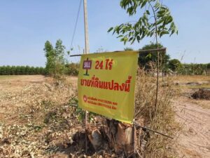 ประกาศ ซื้อ-ขาย-เช่า อสังหาริมทรัพย์ ทั่วไทย